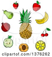 Poster, Art Print Of Sketched Pineapple And Other Fruits