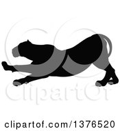 Clipart Of A Black Silhouetted Male Lioness Stretching Royalty Free Vector Illustration