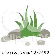 Poster, Art Print Of Bunch Of Grass And Rocks