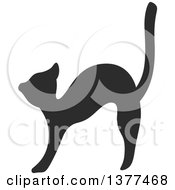 Poster, Art Print Of Black Silhouetted Cat Stretching