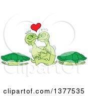 Pair Of Turtles Making Love Outside Of Their Shells