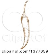 Clipart Of A Brown Sketched Chili Pepper Royalty Free Vector Illustration