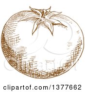 Poster, Art Print Of Brown Sketched Tomato