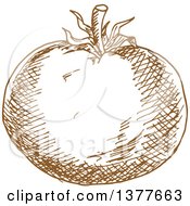 Clipart Of A Brown Sketched Tomato Royalty Free Vector Illustration