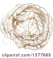 Clipart Of A Brown Sketched Head Of Cabbage Or Lettuce Royalty Free Vector Illustration