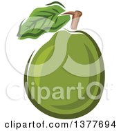 Guava Fruit