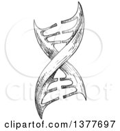 Poster, Art Print Of Black And White Sketched Dna Strand