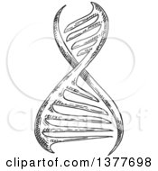 Poster, Art Print Of Black And White Sketched Dna Strand
