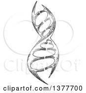 Poster, Art Print Of Black And White Sketched Dna Strand