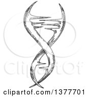 Poster, Art Print Of Black And White Sketched Dna Strand