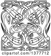 Clipart Of A Black And White Lineart Celtic Knot Cranes Or Heron Royalty Free Vector Illustration by Vector Tradition SM