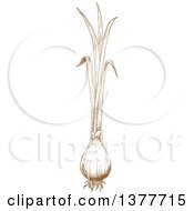 Clipart Of A Brown Sketched Green Onion Royalty Free Vector Illustration