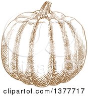 Clipart Of A Brown Sketched Pumpkin Royalty Free Vector Illustration