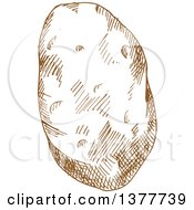 Clipart Of A Brown Sketched Potato Royalty Free Vector Illustration