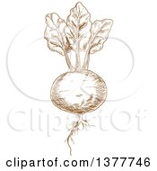Clipart Of A Brown Sketched Beet Royalty Free Vector Illustration