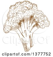 Clipart Of A Brown Sketched Head Of Broccoli Royalty Free Vector Illustration