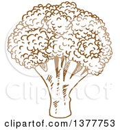 Clipart Of A Brown Sketched Head Of Broccoli Royalty Free Vector Illustration