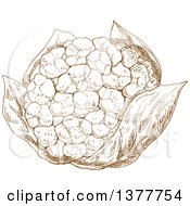 Poster, Art Print Of Brown Sketched Cauliflower