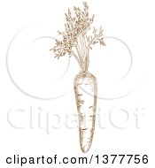 Poster, Art Print Of Brown Sketched Carrot