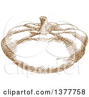 Poster, Art Print Of Brown Sketched Pumpkin Or Squash