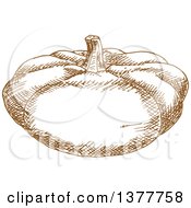 Clipart Of A Brown Sketched Pumpkin Or Squash Royalty Free Vector Illustration