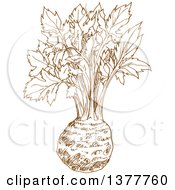 Clipart Of A Brown Sketched Kohlrabi Royalty Free Vector Illustration