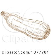 Clipart Of A Brown Sketched Zucchini Royalty Free Vector Illustration