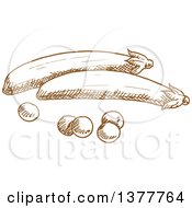 Clipart Of Brown Sketched Peas Royalty Free Vector Illustration
