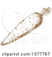 Poster, Art Print Of Brown Sketched Carrot
