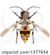 Poster, Art Print Of Bee Or Wasp