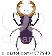 Poster, Art Print Of Stag Beetle