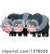 Poster, Art Print Of Group Of Musk Oxen