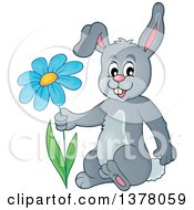 Poster, Art Print Of Happy Gray Bunny Rabbit Holding A Flower
