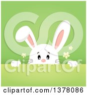 Poster, Art Print Of Happy White Bunny Rabbit Peeking Over A Gradient Green Background