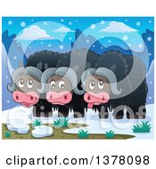 Poster, Art Print Of Group Of Musk Oxen In The Arctic