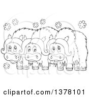 Poster, Art Print Of Black And White Group Of Musk Oxen
