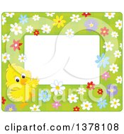 Poster, Art Print Of Horizontal Border Frame Of A Cute Yellow Chick With Flowers On Green Around Text Space