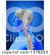 Clipart Of A 3d Anatomical Man With Visible Brain And Spine Over Blue Royalty Free Illustration