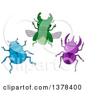 Group Of Blue Green And Purple Beetles