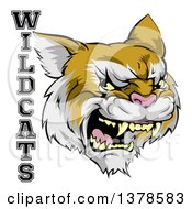 Poster, Art Print Of Roaring Aggressive Bobcat Mascot Head And Wildcats Text