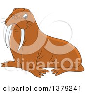 Poster, Art Print Of Cute Brown Walrus