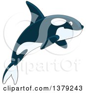 Poster, Art Print Of Cute Leaping Orca Killer Whale