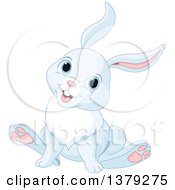 Poster, Art Print Of Cute Pastel Blue Bunny Rabbit Sitting