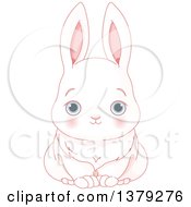 Poster, Art Print Of Cute Blue Eyed White Bunny Rabbit