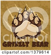 Poster, Art Print Of Grizzly Bear Paw Over Slash Marks Text And Texture