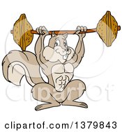 Poster, Art Print Of Cartoon Muscular Bodybuilder Squirrel Lifting A Barbell With Nuts