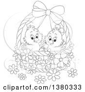 Poster, Art Print Of Black And White Basket With Two Cute Easter Chicks And Flowers