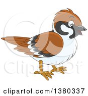 Poster, Art Print Of Happy Sparrow Bird