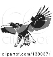 Poster, Art Print Of Black And White Flying Eagle Ready To Grab Prey