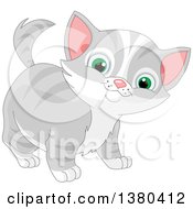 Poster, Art Print Of Cute Green Eyed Gray And White Tabby Cat Kitten
